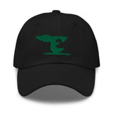 "Philly Birds" Dad hat