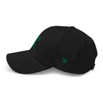 "Philly Birds" Dad hat
