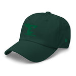 "Philly Birds" Dad hat