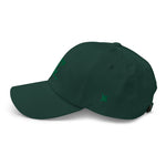 "Philly Birds" Dad hat