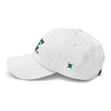 "Philly Birds" Dad hat