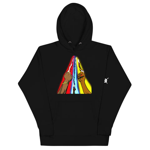 “DMV Unity” Unisex Hoodie
